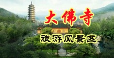 免费干b视频中国浙江-新昌大佛寺旅游风景区